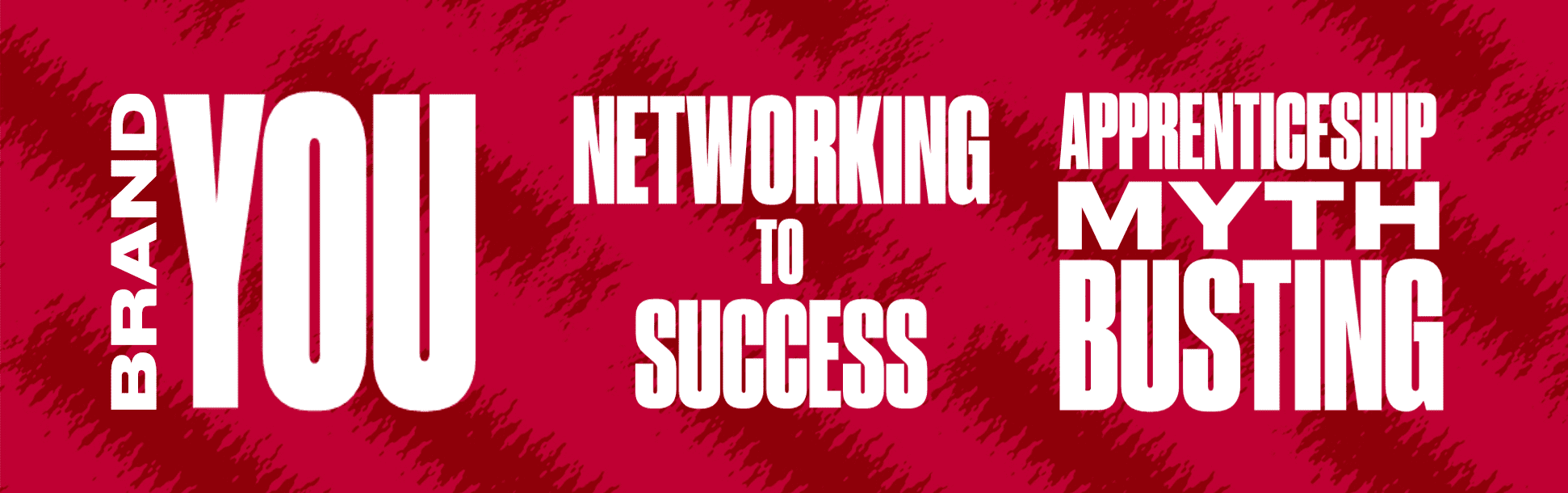 Banner showing the 3 group activities at action Days: Brand you, Networking to Success, Apprenticeship Myth Busting